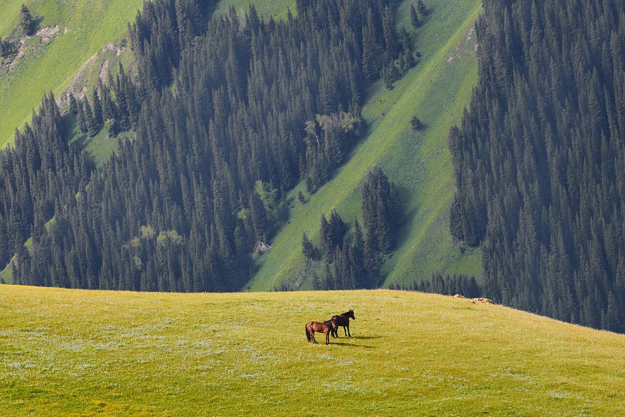 探寻新疆之美，走进神秘土地的特别之旅
